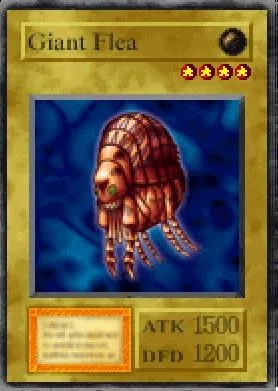 Giant Flea