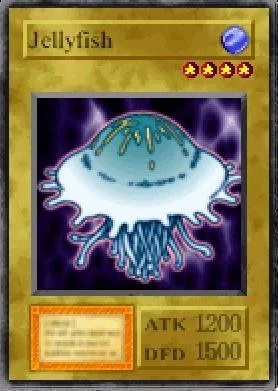 Jellyfish