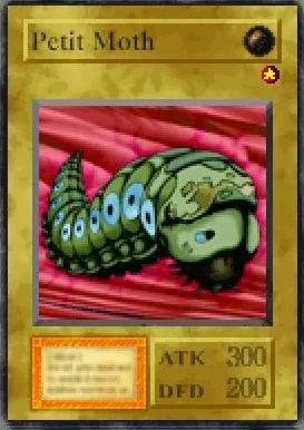 Petit Moth