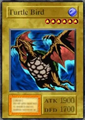 Turtle Bird